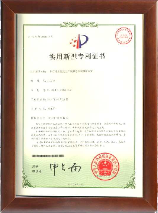 技術(shù)專利